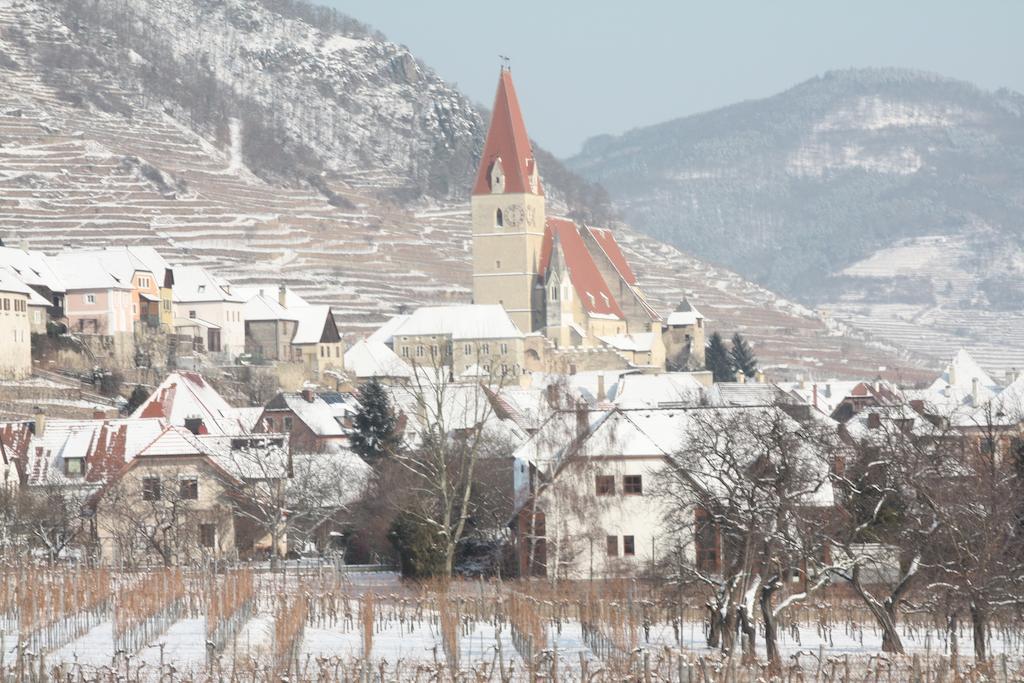 Donauwirt - Hotel Garni 레헨스테이너와차우 외부 사진